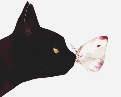 Фотография CatNoNo
