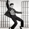 Фотография ELVIS